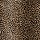 Stanton Carpet: Mufasa Bronze
